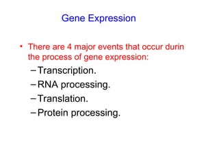Gene Expression
• There are 4 major events that occur durin
the process of gene expression:
–Transcription.
–RNA processing.
–Translation.
–Protein processing.
 