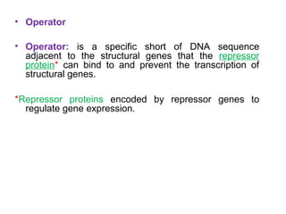 • Operator
• Operator: is a specific short of DNA sequence
adjacent to the structural genes that the repressor
protein* can bind to and prevent the transcription of
structural genes.
*Repressor proteins encoded by repressor genes to
regulate gene expression.
 