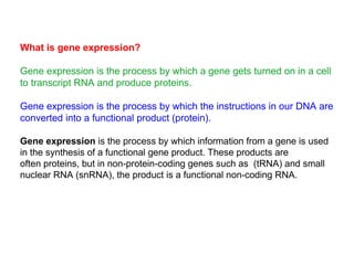 What is gene expression?
Gene expression is the process by which a gene gets turned on in a cell
to transcript RNA and produce proteins.
Gene expression is the process by which the instructions in our DNA are
converted into a functional product (protein).
Gene expression is the process by which information from a gene is used
in the synthesis of a functional gene product. These products are
often proteins, but in non-protein-coding genes such as (tRNA) and small
nuclear RNA (snRNA), the product is a functional non-coding RNA.
 