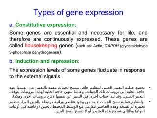 Types of gene expression
a. Constitutive expression:
Some genes are essential and necessary for life, and
therefore are continuously expressed. These genes are
called housekeeping genes (such as: Actin, GAPDH (glyceraldehyde
3-phosphate dehydrogenase).
b. Induction and repression:
The expression levels of some genes fluctuate in response
to the external signals.
•
‫د‬ ‫عن‬ ‫ها‬ ‫نفس‬ ‫ن‬ ‫ع‬ ‫بير‬ ‫بالتع‬ ‫ة‬ ‫معين‬ ‫لجينات‬ ‫مح‬ ‫يس‬ ‫خاص‬ ‫م‬ ‫لتنظي‬ ‫ي‬ ‫الجين‬ ‫بير‬ ‫التع‬ ‫ة‬ ‫عملي‬ ‫ع‬ ‫تخض‬
,
‫يتوقف‬ ‫البروتينات‬ ‫لهذه‬ ‫الخلية‬ ‫حاجة‬ ‫تنتهي‬ ‫وعندما‬ ‫الجينات‬ ‫تلك‬ ‫بروتينات‬ ‫إلى‬ ‫الخلية‬ ‫حاجة‬
. .
‫وهكذا‬ ‫أخرى‬ ‫بروتينات‬ ‫النتاج‬ ‫نفسها‬ ‫عن‬ ‫التعبير‬ ‫في‬ ‫أخرى‬ ‫جينات‬ ‫تبدأ‬ ‫وقد‬ ‫الجيني‬ ‫التعبير‬
•
‫تنظيم‬ ‫المراد‬ ‫ن‬‫بالجي‬ ‫مرتبطة‬ ‫ة‬‫وراثي‬ ‫عناصر‬ ‫وجود‬ ‫ن‬‫م‬ ‫د‬‫ب‬ ‫ال‬ ‫الجينات‬ ‫خ‬‫نس‬ ‫عملية‬ ‫ولتنظيم‬
(
‫أوليات‬ ‫ي‬ ‫ف‬ ‫ة‬ ‫وخاص‬ ‫ن‬ ‫بالجي‬ ‫ط‬ ‫المحي‬ ‫ط‬ ‫الوس‬ ‫ع‬ ‫م‬ ‫ل‬ ‫تتفاع‬ ‫ر‬ ‫العناص‬ ‫وهذه‬ ‫خه‬ ‫نس‬ ‫و‬ ‫أ‬ ‫بيره‬ ‫تع‬
. )
‫الجين‬ ‫بنسخ‬ ‫تسمح‬ ‫ال‬ ‫أو‬ ‫العناصر‬ ‫هذه‬ ‫تسمح‬ ‫وبالتالي‬ ‫النواة‬
 