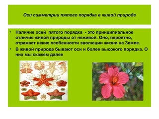 Оси симметрии пятого порядка в живой природе
• Наличие осей пятого порядка - это принципиальное
отличие живой природы от неживой. Оно, вероятно,
отражает некие особенности эволюции жизни на Земле.
• В живой природе бывают оси и более высокого порядка. О
них мы скажем далее
 