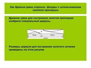 Как древние греки строили фигуры с использованием
золотой пропорции
• Древние греки для построения золотой пропорции
изобрели специальный циркуль.
• Размеры циркуля для построения золотого сечения
приведены на этом рисунке
 