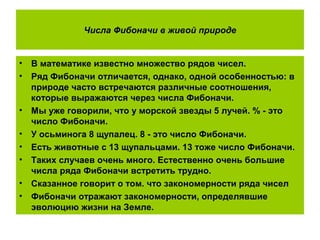 Числа Фибоначи в живой природе
• В математике известно множество рядов чисел.
• Ряд Фибоначи отличается, однако, одной особенностью: в
природе часто встречаются различные соотношения,
которые выражаются через числа Фибоначи.
• Мы уже говорили, что у морской звезды 5 лучей. % - это
число Фибоначи.
• У осьминога 8 щупалец. 8 - это число Фибоначи.
• Есть животные с 13 щупальцами. 13 тоже число Фибоначи.
• Таких случаев очень много. Естественно очень большие
числа ряда Фибоначи встретить трудно.
• Сказанное говорит о том. что закономерности ряда чисел
• Фибоначи отражают закономерности, определявшие
эволюцию жизни на Земле.
 