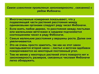 Самое известное проявление закономерности , связанной с
рядом Фибоначи.
• Многочисленные измерения показывают, что у
подавляющей части растений расстояния между
одинаковыми органами следуют ряду чисел Фибоначи.
• Если взять любое дерево, то расстояния между листьями
или маленькими веточками в среднем подчиняются
соотношениям чисел в ряду Фибоначи.
• Самые маленькие расстояния у вершины роста. Далее они
увеличиваются.
• Это не очень просто заметить, так как на этот закон
накладывается второй закон – листья и веточки вдобавок
поворачиваются на некоторый постоянный угол.
• Тем не менее у некоторых растений этого поворота нет и
закономерность размеров, связанных числами Фибоначи
легко обнаружить.
 