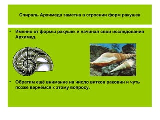 Спираль Архимеда заметна в строении форм ракушек
• Именно от формы ракушек и начинал свои исследования
Архимед.
• Обратим ещё внимание на число витков раковин и чуть
позже вернёмся к этому вопросу.
 