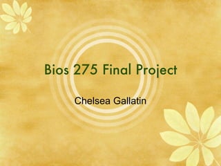 Bios 275 Final Project Chelsea Gallatin 
