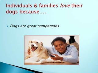 Approximately 40% of Australian households have a pet dog – probably the highest per capita rate in the world.Pet services Secrets – a huge industry enjoying explosive growth