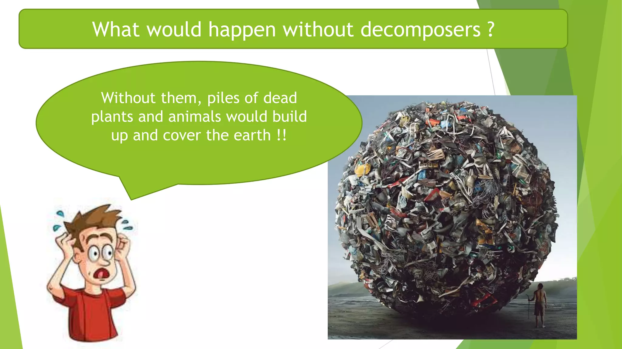 How living things interact (part 1) | PPTX