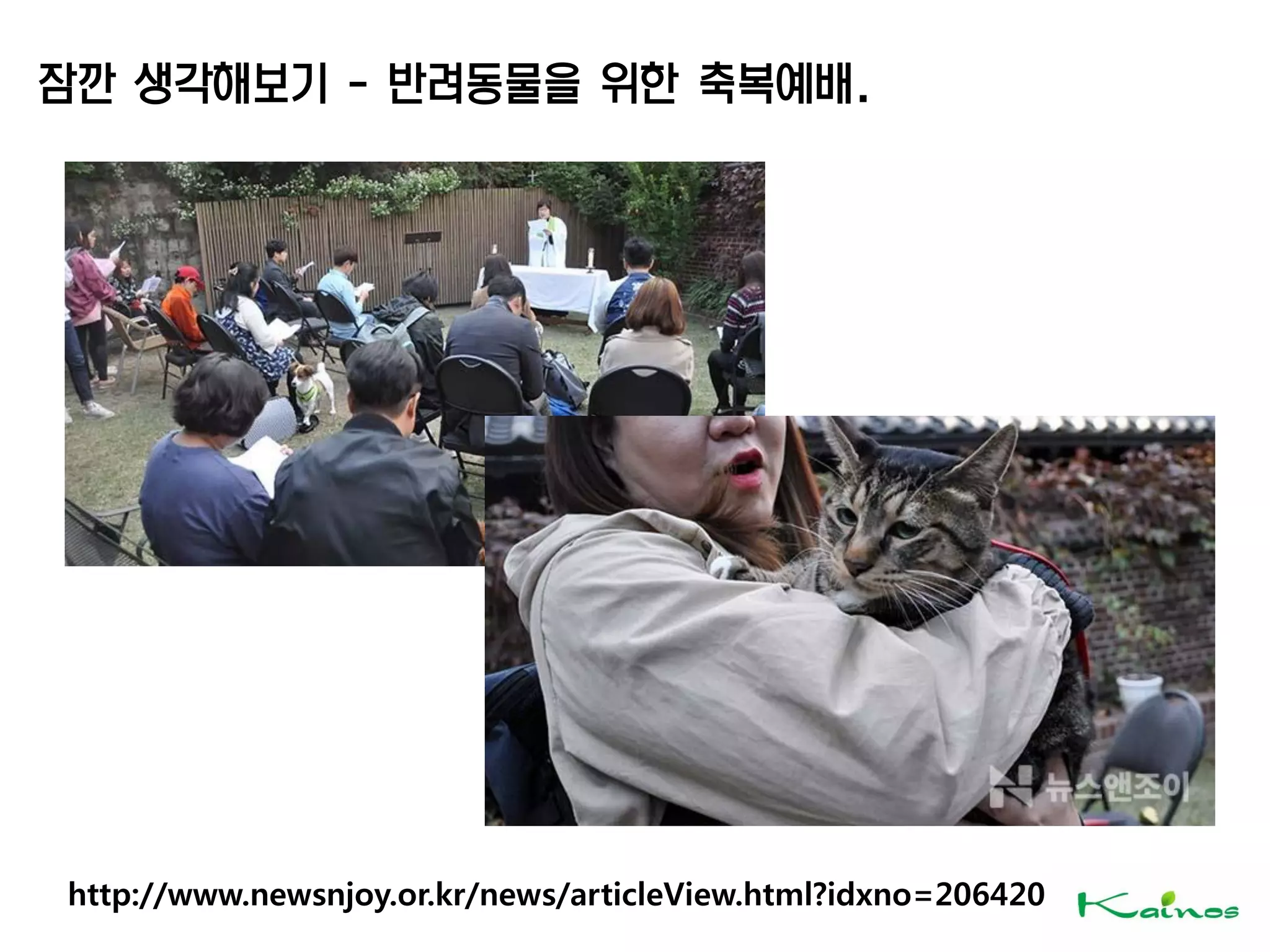 http://www.newsnjoy.or.kr/news/articleView.html?idxno=206420
잠깐 생각해보기 - 반려동물을 위한 축복예배.
 