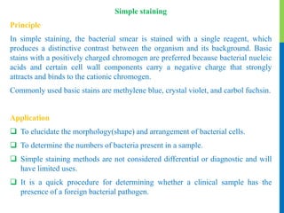 what is simple staining in microbiology