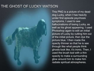 This PNG is a picture of my dead
dog Lucky, when I has heavily
under first episode psychosis
symptoms, I used to see
hallucinations of losing Lucky, as
well as his ghost appearing. I used
Photoshop again to edit an initial
picture of Lucky by cutting him out
of the initial picture, then dye the
picture blue. I then made the
opacity thinner so that he is see
through like what people think
ghosts look like, it’s ironic. Then, I
used the brush tool with a thin
opacity to make a surrounding
glow around him to make him
radiate spiritual atmospheres.
 