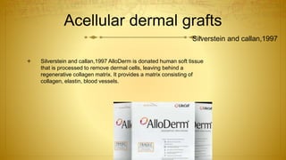 Acellular dermal grafts
 Silverstein and callan,1997 AlloDerm is donated human soft tissue
that is processed to remove dermal cells, leaving behind a
regenerative collagen matrix. It provides a matrix consisting of
collagen, elastin, blood vessels.
Silverstein and callan,1997
 
