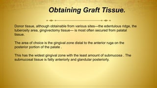 Obtaining Graft Tissue.
Donor tissue, although obtainable from various sites—the edentulous ridge, the
tuberosity area, gingivectomy tissue— is most often secured from palatal
tissue.
The area of choice is the gingival zone distal to the anterior ruga on the
posterior portion of the palate .
This has the widest gingival zone with the least amount of submucosa . The
submucosal tissue is fatty anteriorly and glandular posteriorly.
 