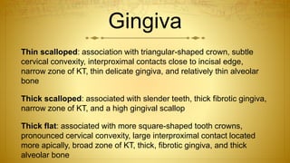 Slender Tooth Gingival recession part 2 | PPTX