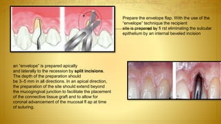 Prepare the envelope flap. With the use of the
“envelope” technique the recipient
site is prepared by fi rst eliminating the sulcular
epithelium by an internal beveled incision
an “envelope” is prepared apically
and laterally to the recession by split incisions.
The depth of the preparation should
be 3–5 mm in all directions. In an apical direction,
the preparation of the site should extend beyond
the mucogingival junction to facilitate the placement
of the connective tissue graft and to allow for
coronal advancement of the mucosal fl ap at time
of suturing.
 