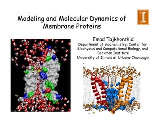 Modeling and Molecular Dynamics of
        Membrane Proteins
                           Emad Tajkhorshid
                  Department of Biochemistry, Center for
                  Biophysics and Computational Biology, and
                              Beckman Institute
                  University of Illinois at Urbana-Champagin
 