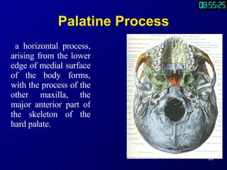 Part1.Anatomy | PPT