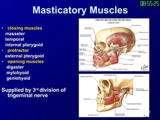 Part1.Anatomy | PPT