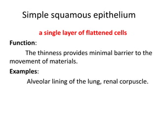 Part 1-Animal tissue and basic cell types.pptx