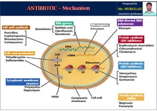 MC - III, unit - 1, Part 1 - Antibiotic.pdf
