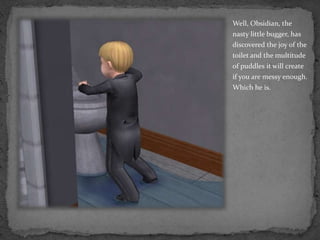 Well, Obsidian, the nasty little bugger, has discovered the joy of the toilet and the multitude of puddles it will create if you are messy enough.  Which he is.