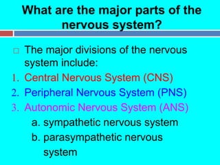 Part 1 - Nervous System_ Major Parts and Functions.pdf