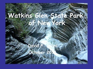 David P. Solini October 2011 Watkins Glen State Park of New York Watkins Glen State Park of New   York 