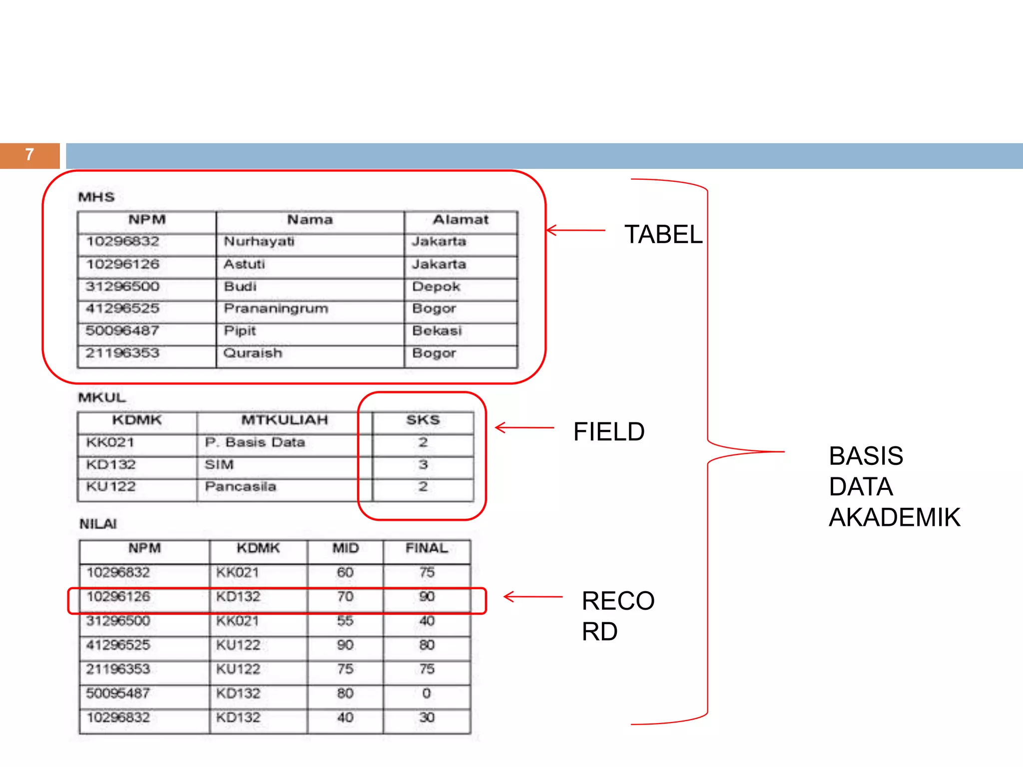 7
TABEL
FIELD
RECO
RD
BASIS
DATA
AKADEMIK
 