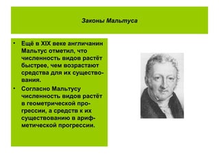 Законы Мальтуса
• Ещё в XIX веке англичанин
Мальтус отметил, что
численность видов растёт
быстрее, чем возрастают
средства для их существо-
вания.
• Согласно Мальтусу
численность видов растёт
в геометрической про-
грессии, а средств к их
существованию в ариф-
метической прогрессии.
 