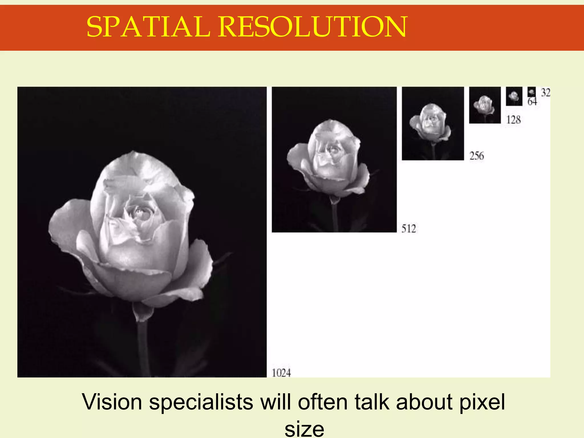 SPATIAL RESOLUTION
Vision specialists will often talk about pixel
size
 