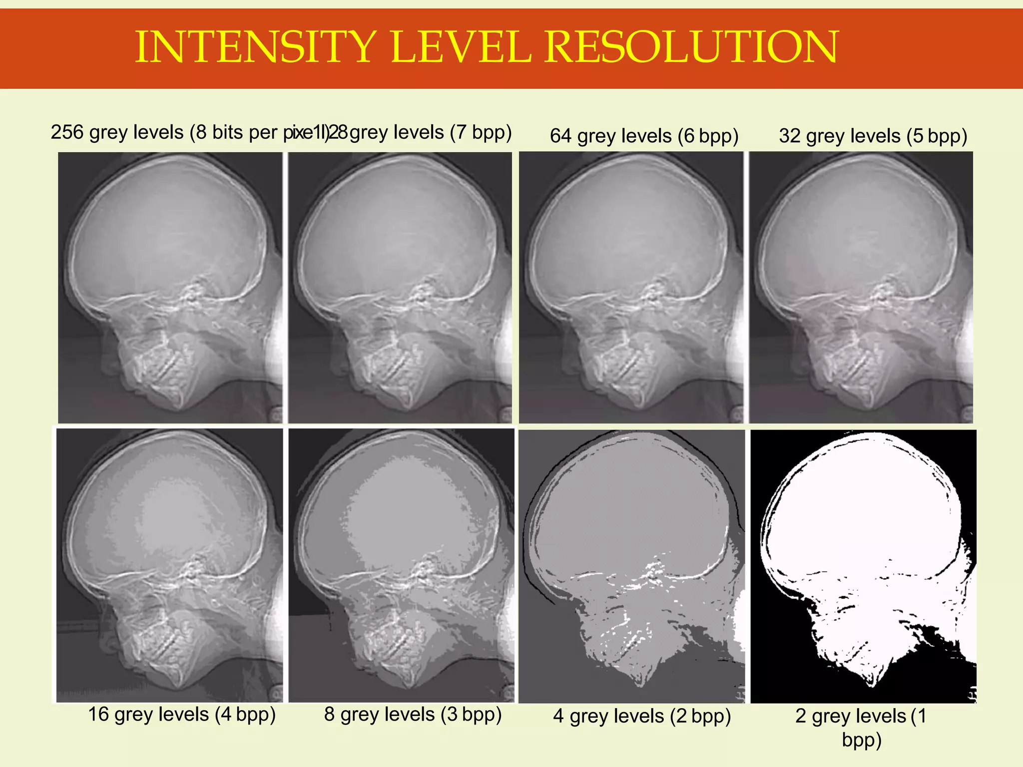 INTENSITY LEVEL RESOLUTION
64 grey levels (6 bpp) 32 grey levels (5 bpp)
16 grey levels (4 bpp) 8 grey levels (3 bpp) 4 grey levels (2 bpp) 2 grey levels (1
bpp)
256 grey levels (8 bits per pixe1l)28grey levels (7 bpp)
 