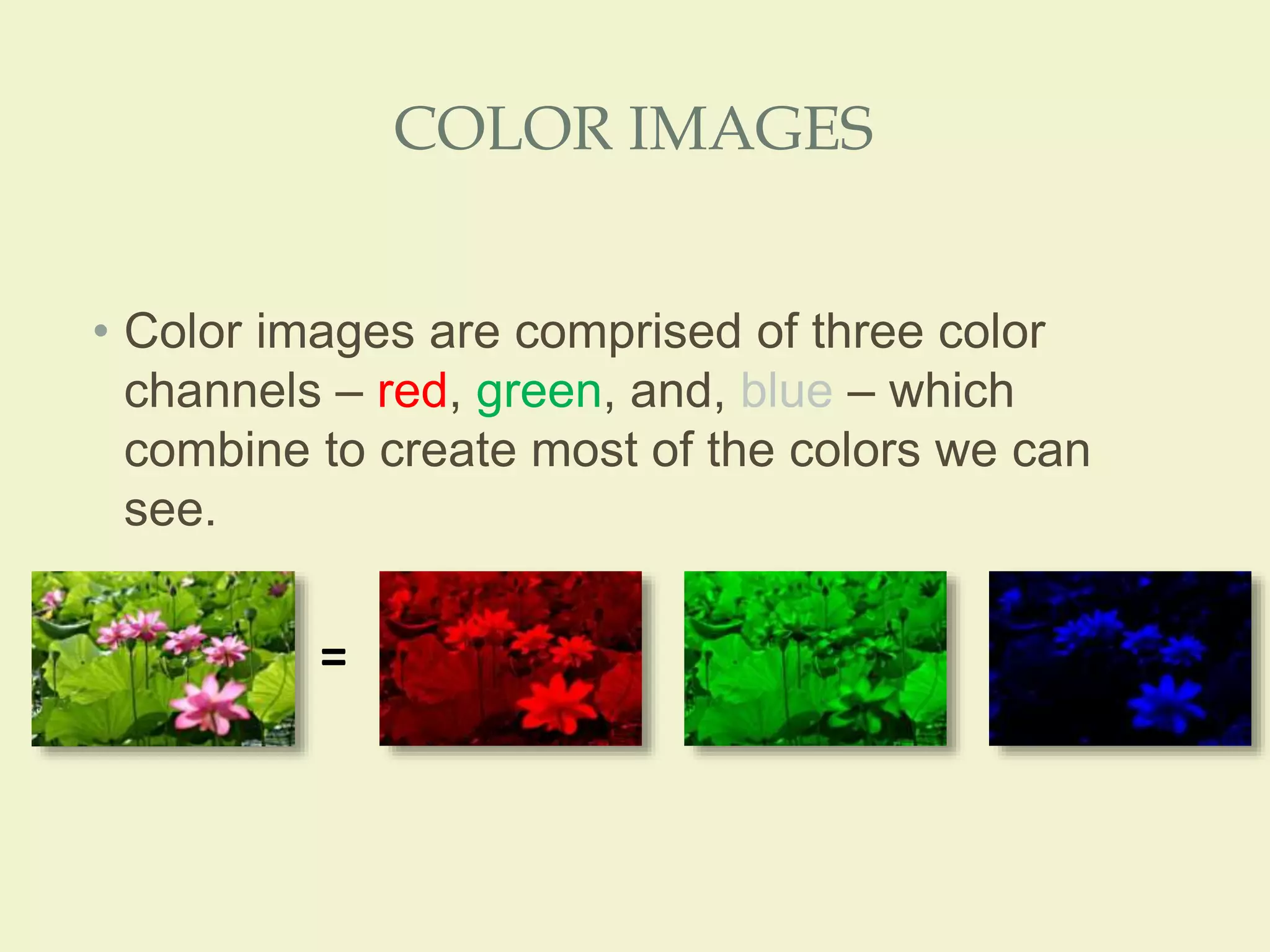 COLOR IMAGES
• Color images are comprised of three color
channels – red, green, and, blue – which
combine to create most of the colors we can
see.
=
 