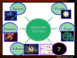 Copyright © 2010 Ryan P. Murphy
 