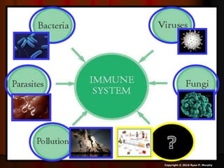 Copyright © 2010 Ryan P. Murphy
 