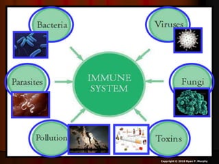 Copyright © 2010 Ryan P. Murphy
 