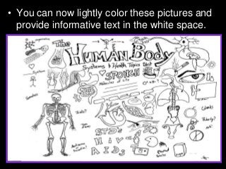 Immune System Lesson PowerPoint