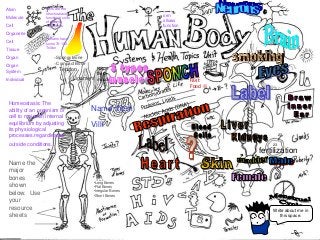 Immune System Lesson PowerPoint