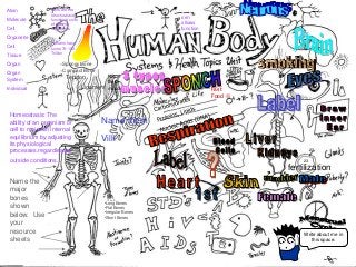 Immune System Lesson PowerPoint