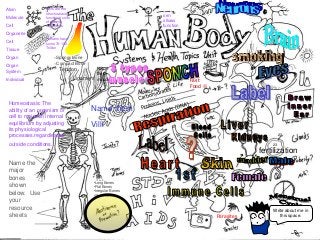 Immune System Lesson PowerPoint