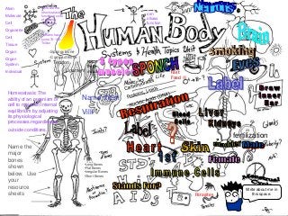 Immune System Lesson PowerPoint