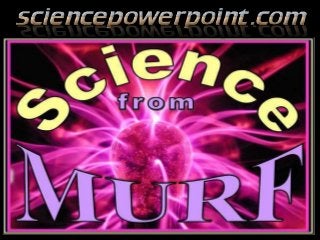 Immune System Lesson PowerPoint