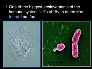 • One of the biggest achievements of the
immune system is it’s ability to determine
friend from foe.
 