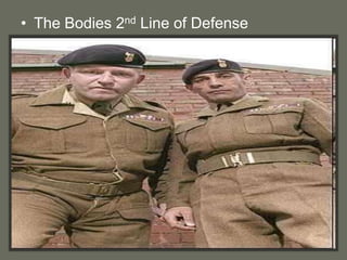 • The Bodies 2nd Line of Defense
 