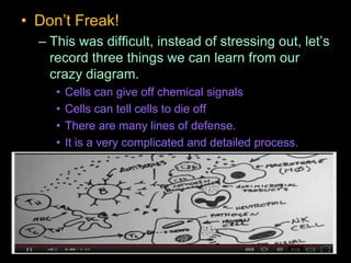 • Don’t Freak!
– This was difficult, instead of stressing out, let’s
record three things we can learn from our
crazy diagram.
• Cells can give off chemical signals
• Cells can tell cells to die off
• There are many lines of defense.
• It is a very complicated and detailed process.
 