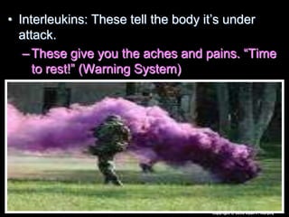 • Interleukins: These tell the body it’s under
attack.
–These give you the aches and pains. “Time
to rest!” (Warning System)
Copyright © 2010 Ryan P. Murphy
 