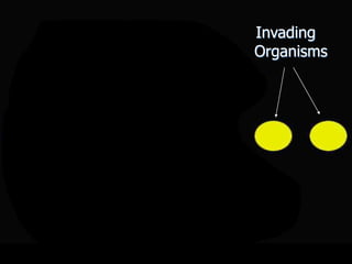 Invading
Organisms
Copyright © 2010 Ryan P. Murphy
 