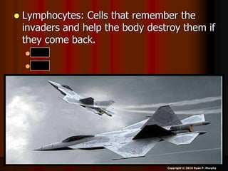  Lymphocytes: Cells that remember the
invaders and help the body destroy them if
they come back.
 B-
 T-
Copyright © 2010 Ryan P. Murphy
 