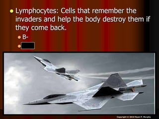  Lymphocytes: Cells that remember the
invaders and help the body destroy them if
they come back.
 B-
 T-
Copyright © 2010 Ryan P. Murphy
 