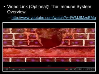 • Video Link (Optional)! The Immune System
Overview.
– http://www.youtube.com/watch?v=IWMJIMzsEMg
 