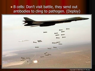  B cells: Don’t visit battle, they send out
antibodies to cling to pathogen. (Deploy)
Copyright © 2010 Ryan P. Murphy
 